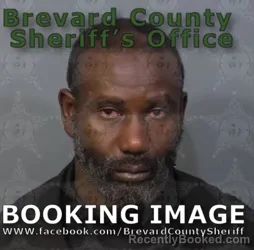 Mugshot of JASON O BIVINS