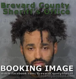 Mugshot of DEVONTAE JAMES SIPPS