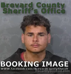 Mugshot of WYATT JOHN LEWIS