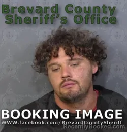 Mugshot of Austin Patrick Harris