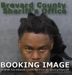 Mugshot of Robert Tyrone Robinson