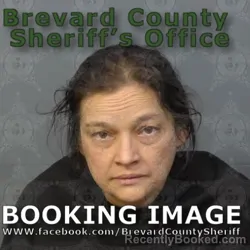 Mugshot of ALYSON FAITH SMITH