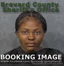 Mugshot of Braelynn Sanai Lowder