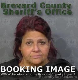 Mugshot of SARA IVETTE CARMONA