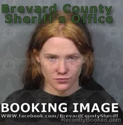 Mugshot of Alicia Virginia Rose Greer