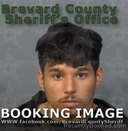 Mugshot of DAYRON HERNANDEZ