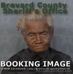 Mugshot of Mary Louise Barfield