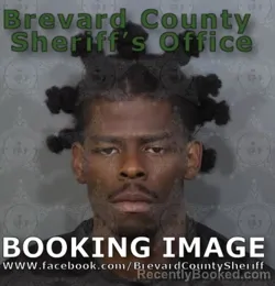 Mugshot of DERRICK TIPPINS