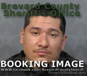 Mugshot of RODOLFO FLORES CHAVERA