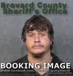 Mugshot of DILLON LEE BLACKWOOD