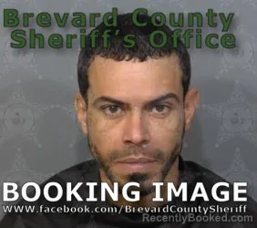 Mugshot of ANTONIO COCHRAN FERNANDEZ