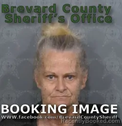 Mugshot of Julie Anne Burch