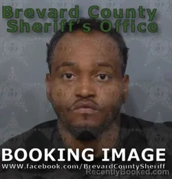 Mugshot of Rain Majesty Christopher Palmer