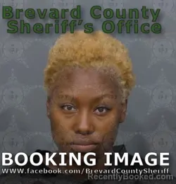 Mugshot of Mica Doris Conley