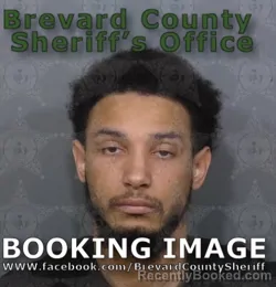 Mugshot of Darian Virgil Malek