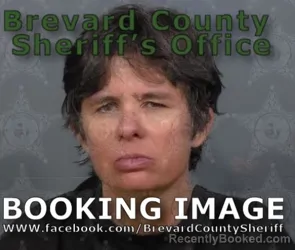 Mugshot of CRISTIN ELIZABETH PALMER