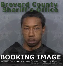 Mugshot of Decori Lanier Lipsey