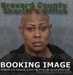 Mugshot of VIVIAN DENISE NEWSOME