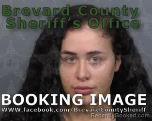 Mugshot of NICOLE LEEANN POTTER