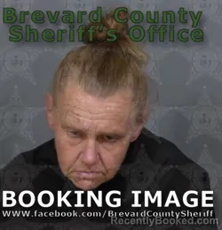 Mugshot of SHANNON DAWN LAURIDSEN