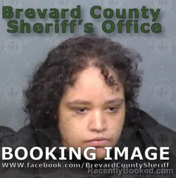 Mugshot of ILLANDRA TERESA RODRIGUEZ