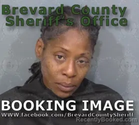 Mugshot of Anntwinnett Elaine Dixon