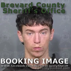 Mugshot of STEVEN ANTHONY BRISTOL