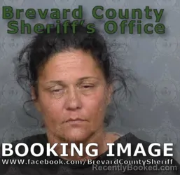 Mugshot of Amy R Skinner