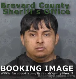 Mugshot of HENRY GEOVANY DOMINGO SANCHEZ