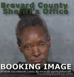 Mugshot of Lashanda Marie Johnson