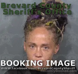 Mugshot of ASHLEY KATE KINSY