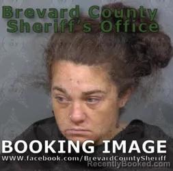Mugshot of Courtney Nicole Pallissard