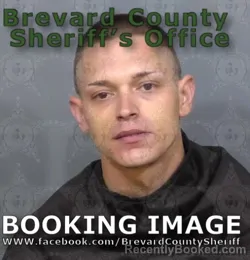 Mugshot of BRIAN Keith FELLOWS