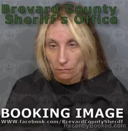 Mugshot of LEEANNE P CIPOLLARO