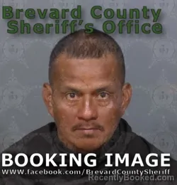 Mugshot of MAYNOR SALOME SANDOVAL LUCAS