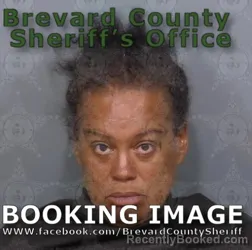 Mugshot of Renee Ashley Johnson