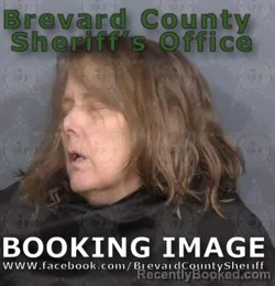 Mugshot of TAMI OBER