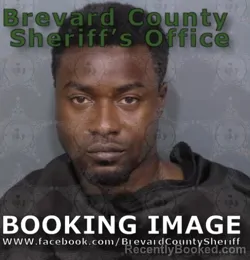 Mugshot of RONALD NORELIA