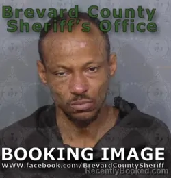 Mugshot of DEMETRIUS ANTWAIN FOWLER