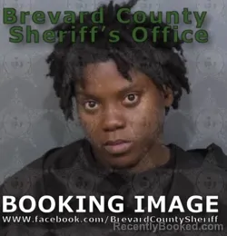 Mugshot of Ka Neika
 Andrea Chambers