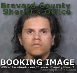 Mugshot of HANSEL JARED VEGA