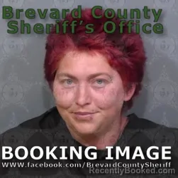 Mugshot of Taylor Raven Leigh Alexander