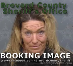 Mugshot of Michelle Lynn Rose