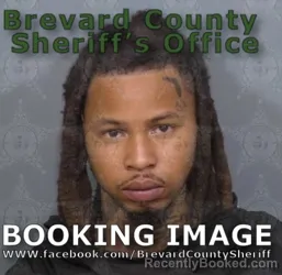 Mugshot of MARQUIS LYNN HAMILTON