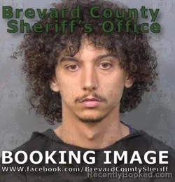 Mugshot of Hayden Benjamin Silverman