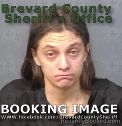 Mugshot of Sydnee Allia Williamson