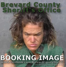 Mugshot of Tracy Elizabeth Goodwin