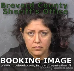 Mugshot of SARAH ELLENA HAMILTON