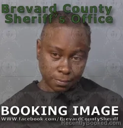 Mugshot of Darrene N Hutchinson