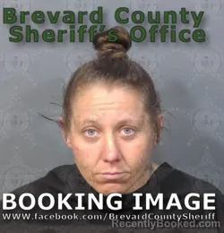 Mugshot of ASHLEY MEGAN WALSH